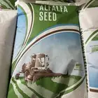 عرض خاص ( بذر برسيم أمريكي ) ابو حصادة - إنتاج عالي الكثافة