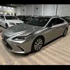 مطلوب لكزز 2019