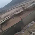 شبك حلال للبيع