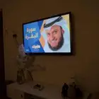 شاشة تلفزيون