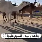 بكرة  جدعة
