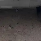 لوحه مميزه تم البيع