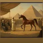 يوجد افراس فاخرة للبيع