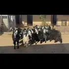 معزا دفيع .