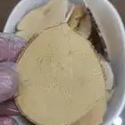 تونكات علي