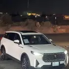 فاو بيستون T99 2022 25.000km