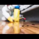 شركة مكافحة الحشرات