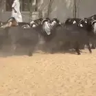 معزا عوارض