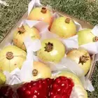 رمان جوف ال معمر.