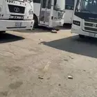 باصات للاجار تأجير باصات