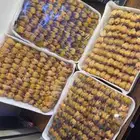 عصافير دخل 100 حبه ب200