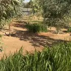 مزرعة دخيخلات