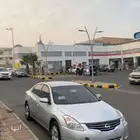 التيماء 11