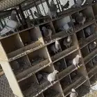 حمام أمهات سلفر لاحم فرنسي