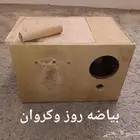 بياضات طيور