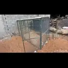 عشه طيور