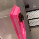 سلحفه اليفه للبيع الموقع الدوادمي