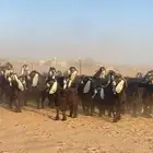 معزا عوارض صنف مراح كامل خوات بعض