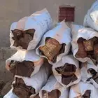 حديد سكراب في كايس.