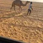 رحول عمانية للبيع