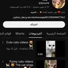 قناة مليونية موثقة ومفعلة الارباح