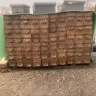 خلايه نحل