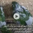 فروخ كنيور نوادر وايت اي