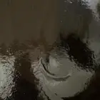 دبس عجوه المدينه