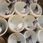 حمام بكستاني