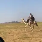 ماشالله تبارك الله بكره طايعه مشروطه من جميع العذريب