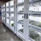 ثلاجات للزراعه العضويه