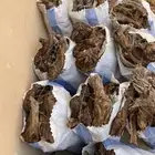 خياش طحين 15 كيلو