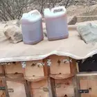 عسل مراعي على مستوا