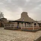 ايواء  تعديل اطباع  تسمين  عسف