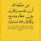 دخل يومي 1000 ريال