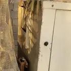 مكيف صحراوي