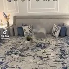 تفصيل كنبات و مساند و ستائر حسب الطلب المدينة المنورة