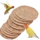 لباد حمام طيور الزينه