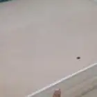 تصفيه موسسة اعمال الحسن