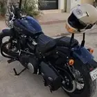 للبيع هارلي ستريت بوب 2019