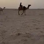 للبيع رحوا