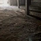 مستودع عمق 25متر عرض10متر