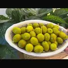 زيت زيتون فلسطيني وزيتون اردني جديد.
