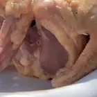 فراخة حمام سلفر