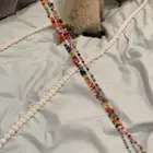 قطط هملايا