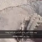 بطحاء تليس وادي الواسر ابيض رقم واحد ابهاء خميس مشيط احد ر