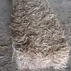 تبن قمح للبيع