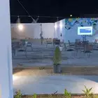 كوفي شاهي للبيع