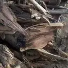 حطيب مستورد