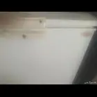 فريزن ابيض